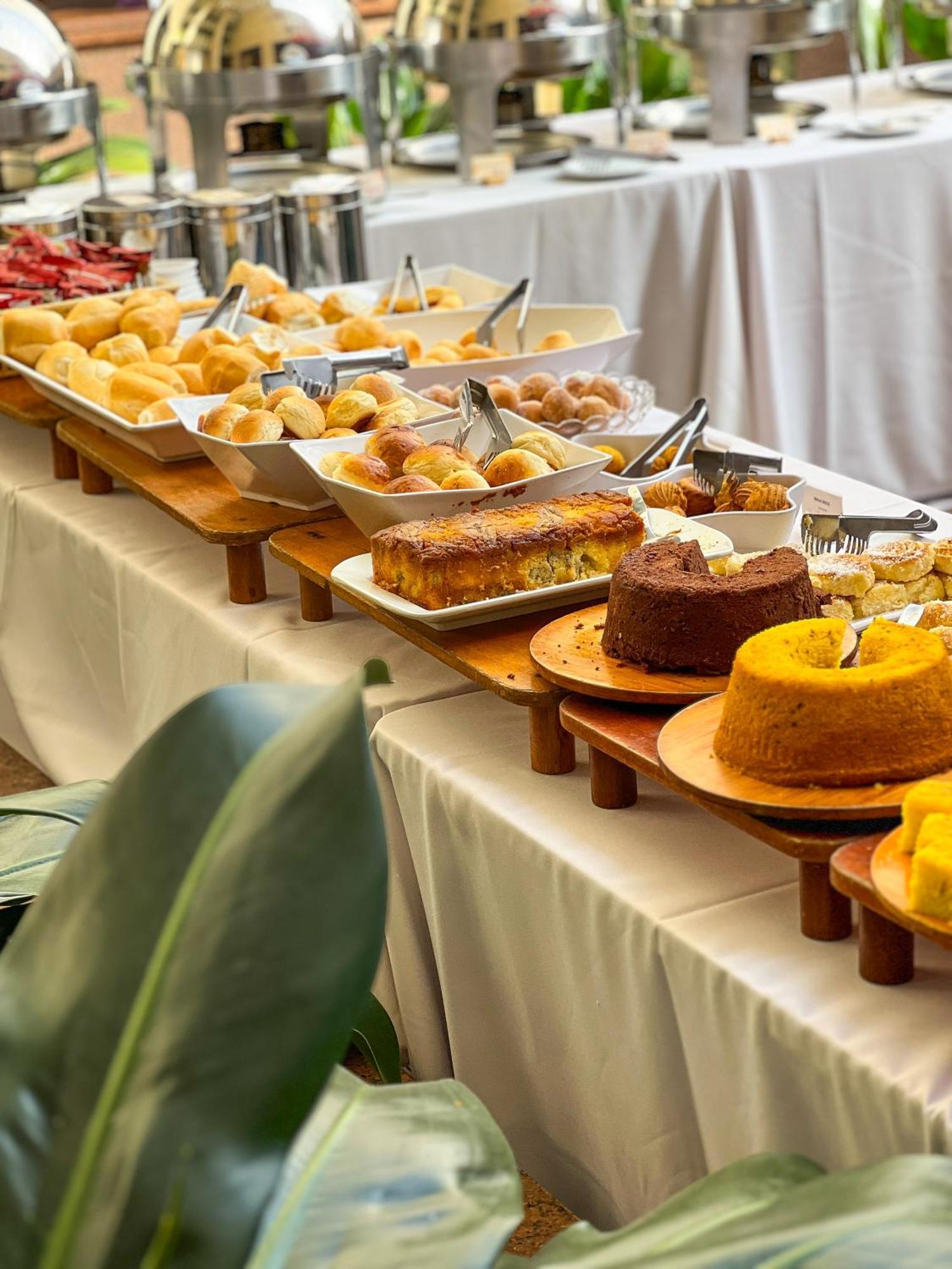 גויאניה Castro'S Park Hotel מראה חיצוני תמונה